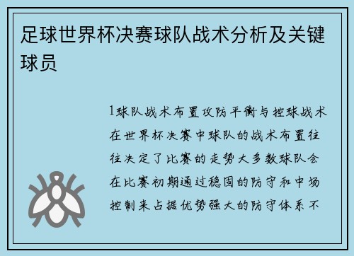 足球世界杯决赛球队战术分析及关键球员